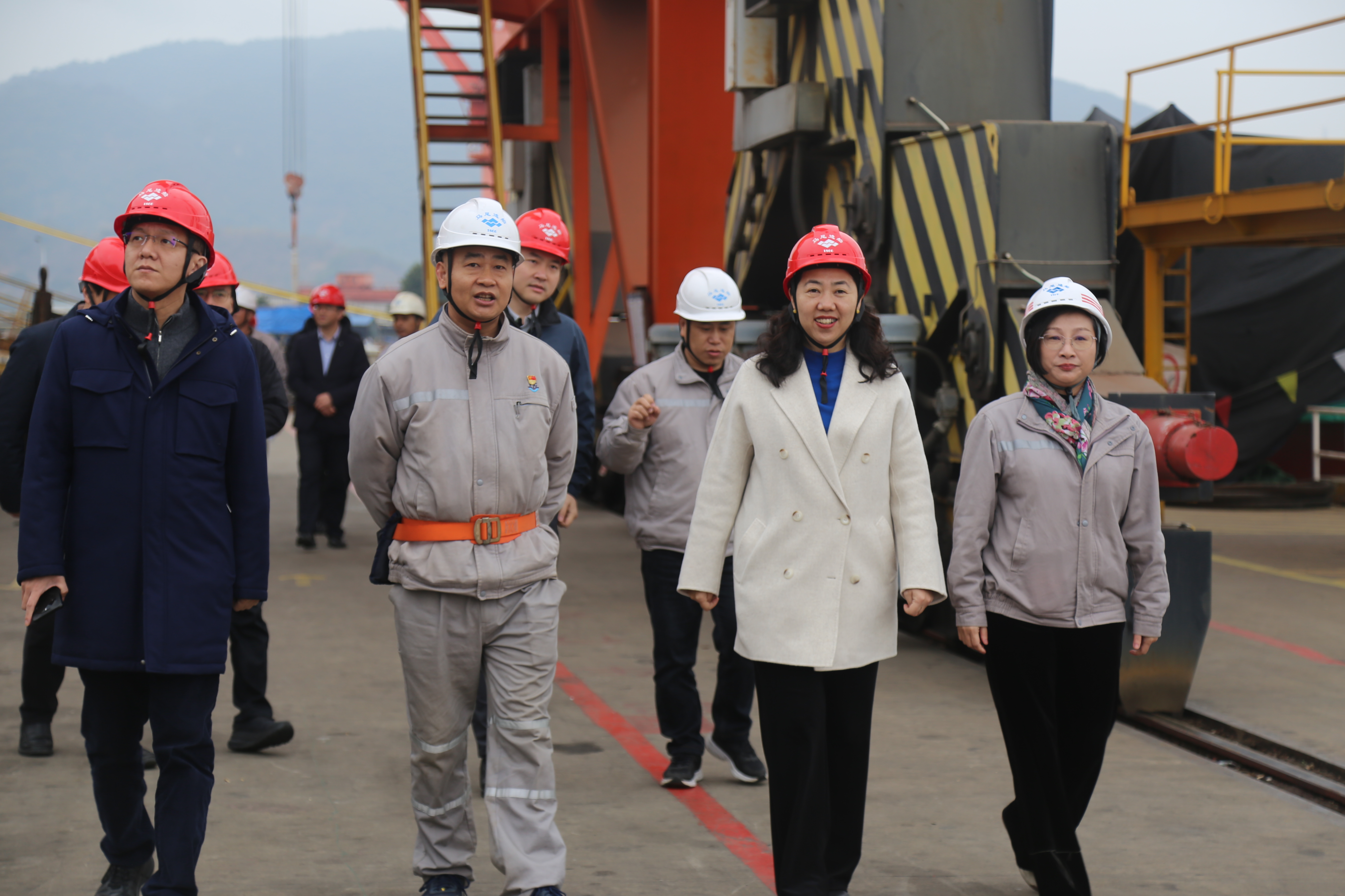 1769742205309781_ef6f42856bfe2d490ba2ffdedfa2eb01.jpg 1769742205309781_ef6f42856bfe2d490ba2ffdedfa2eb01.jpg